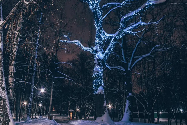 Zimowy Krajobraz Natura Wieczór Świecące Latarnie Drodze Opuszczanie Odległość Pokryte — Zdjęcie stockowe