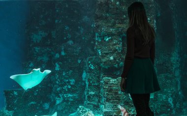 Güzel bir genç kız büyük bir akvaryum stingrays ve diğer çeşitli balık ile arka plan üzerinde silüeti.