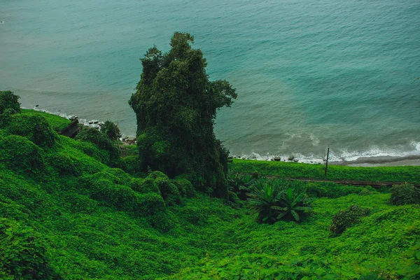 Top View Sea Coast Rail Tracks Observation Platform Botanical Garden — Stock Photo, Image