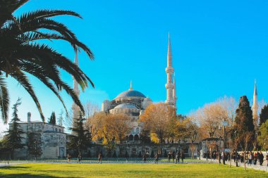 Sultanahmet Camii veya Sultanahmet Camii yakın çekim. Türkiye, İstanbul
