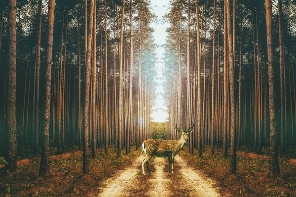 Beautiful young deer in a mystical magical forest close up.