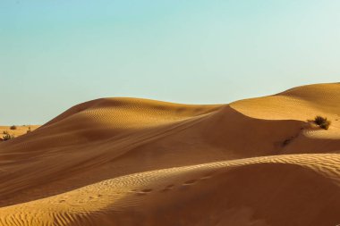 Çölün kum tepeleri yakın. Dubai 2019.