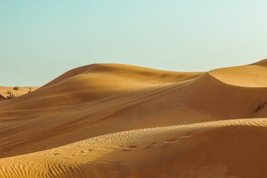 Çölün kum tepeleri yakın. Dubai 2019.