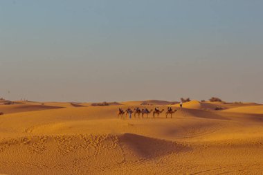 Çölün kum tepeleri arasında turistlerin olduğu kervan yakın. Dubai 2019.
