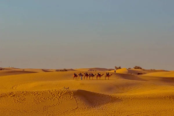 Caravana Con Turistas Entre Las Dunas Del Desierto Cerca Dubai — Foto de Stock
