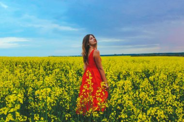 Kırmızı elbiseli güzel bir kız sarı tarlanın ortasına yakın turp çiçeğiyle