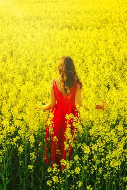 Kırmızı bir elbise genç güzel kız turp çiçekler ve sunligh ile sarı alanın ortasında yakın