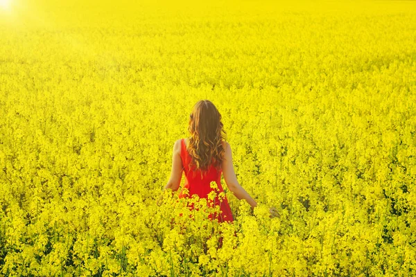 Fiatal szép lány, piros ruhában közelről közepén sárga mező retek virágok és Sunligh — Stock Fotó