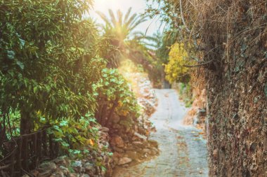 Alanya Kızıl kulesinde bitki ve yol ile inanılmaz manzara, Türkiye.