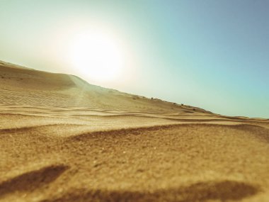 Dubai'de çölün kum tepeleri güneş ışığıyla kapanıyor.