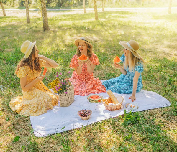 Three pretty womans on the picnic in the park at summertime season.