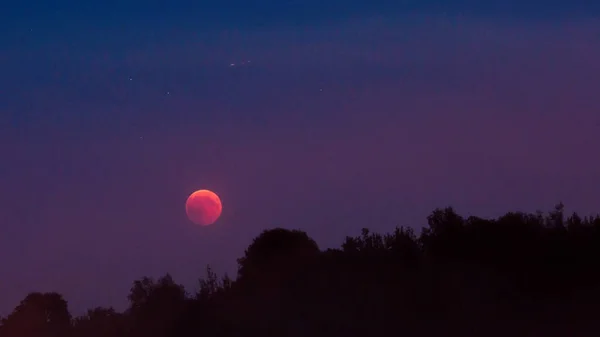 Eclipse Lunar Total 2018 Lua Sangue Julho Estrelas Sobre Floresta — Fotografia de Stock