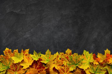 Sonbahar yaprakları siyah taş zemin.