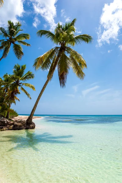 Hermosa Playa Tropical Palmeras Coco Permaneciendo Juntos Concepto Vacaciones Vacaciones — Foto de Stock