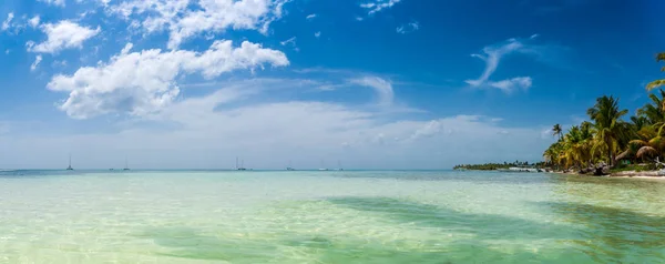 Tropischer Strand Mit Kokospalmen Türkisfarbenem Meerwasser Und Weißem Sand Der — Stockfoto