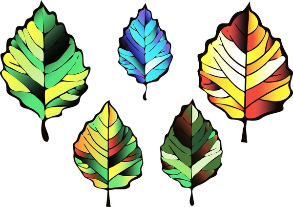 Ensemble de feuilles colorées — Image vectorielle