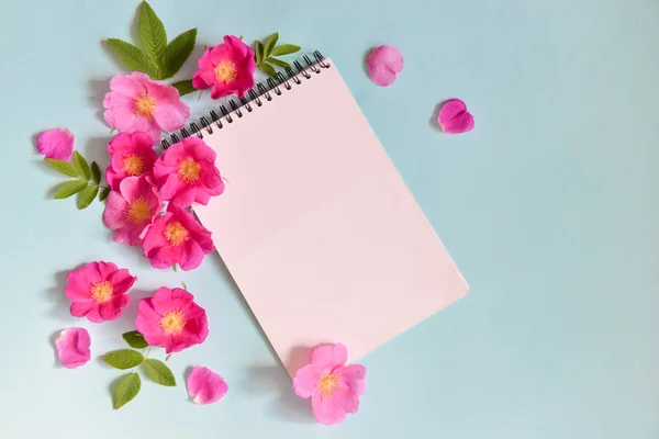 çiçekler yalan bir arka plan üzerine bir not defteri süslenmiş. kontrast tasarım. floristics. bitki kompozisyonu