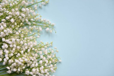 Bahar çiçekleri Lily vadi arka plan üzerinde