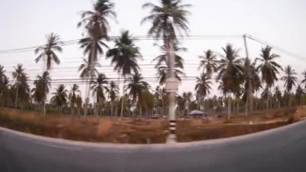 Blick aus dem Fenster eines fahrenden Busses oder Autos auf den Palmenhain — Stockvideo
