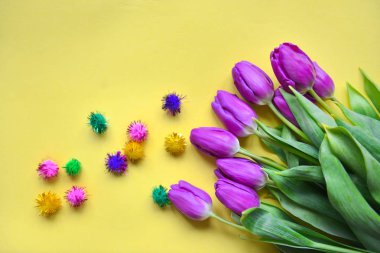 Fresh purple buds of tulips on a bright yellow background. Contrast. postcard image of March 8, mothers day, daughters day, valentines day, cute colorful fluffy pompons clipart