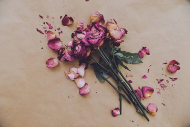 buket kırmızı kuru gül izole arka plan üzerinde. solmuş çiçekler dağılmış, tatil anti valentins günü tamamladı