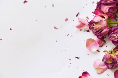 açısal bileşimi kuru gül, dağınık ölü buket, havalandırma style, antivalentinin gün, tatil bitti