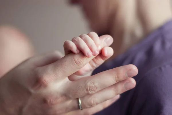 Eltern neugeborener Babyhände. Neugeborenes Baby hält Mutter Finger, Ehering am Finger, Familie Stockbild