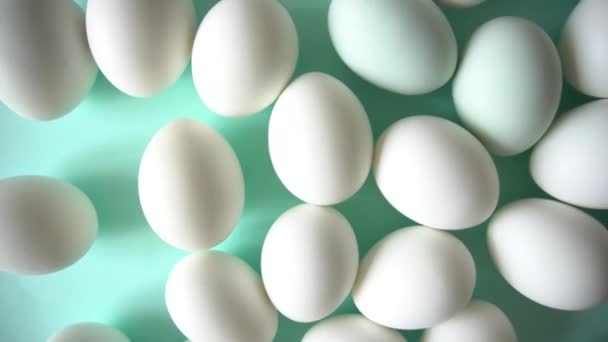 Chicken eggs blue background monochrome shades — Stock Video