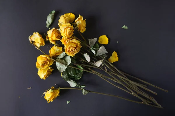 Trockener Strauß gelber Rosen auf schwarzem Grund, Frust am Ende der Ferien, ein trauriger Tag lizenzfreie Stockbilder