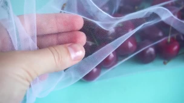 Female hand touches cherry in a reusable fabric transparent bag on blue background in the fight against plastic — Stock Video