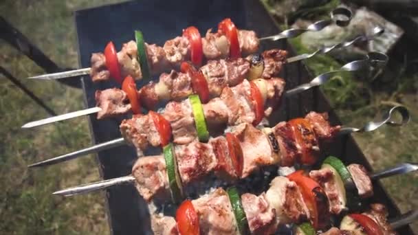 Spiedini di carne vegetali lucenti su spiedini cucinati su braciere in un parco affumicato su carbone di legna — Video Stock