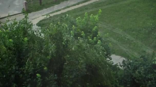 強い突風で吹き飛ばされた緑の木の枝。曇りよ複数階建ての家の窓からの上景。女性は悪天候の夏に行く — ストック動画