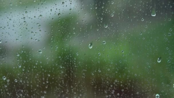 Langsam fließen Regentropfen auf ein Fenster mit verschwommenen Bäumen als Hintergrund. Innenansicht der Wohnung außen. — Stockvideo