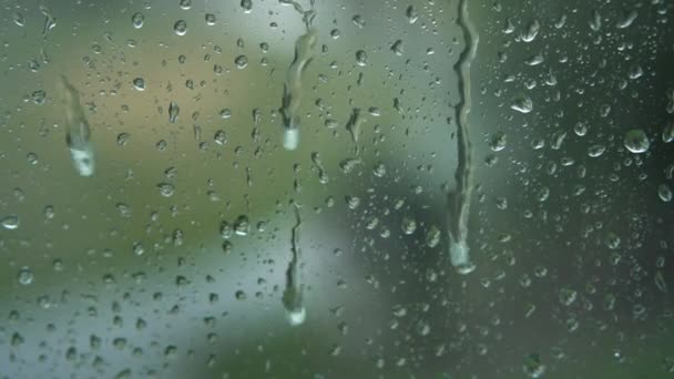 Οι σταγόνες βροχής ρέουν αργά στο τζάμι σε ένα παράθυρο με θαμπά δέντρα ως φόντο. Από την εσωτερική όψη του διαμερίσματος έξω. Γκρο πλαν — Αρχείο Βίντεο