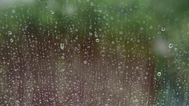 Langsam fließen Regentropfen auf ein Fenster mit verschwommenen Bäumen als Hintergrund. Innenansicht der Wohnung außen. Nahaufnahme — Stockvideo