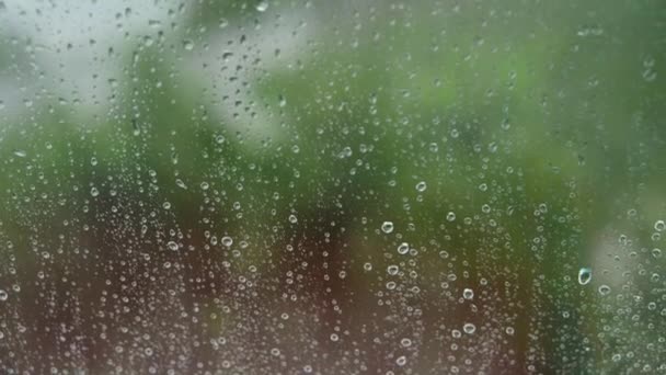 Капли дождя медленно стекают по стеклу на окне с размытыми деревьями в качестве фона. Внутренний вид квартиры снаружи. макро — стоковое видео