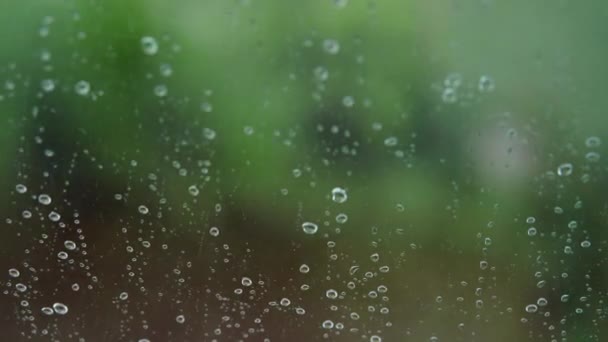 Les gouttes de pluie coulent lentement vers le bas du verre sur une fenêtre avec des arbres flous comme arrière-plan. Vue intérieure de l'appartement à l'extérieur. gros plan — Video