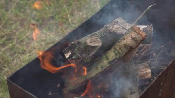 Свежие дрова начинают жарить снаружи в саду в солнечный день — стоковое видео