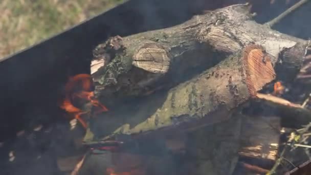 Färsk ved börjar grilla ute i trädgården på en solig dag närbild — Stockvideo