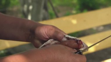 doğa köy yaşam tarzı yaz aylarında bir bahçede ahşap masada dışında yemek için bir balıkçı gutting ve temizlik ringa balığı yakın çekim erkek elleri