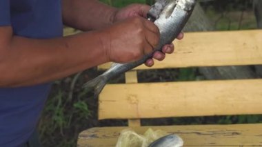 balıkçı gutting ve ringa balığı temizleme erkek elleri bahçe yaz doğa köy yaşam tarzı dışında ahşap bir masada yemek pişirmek için iç organları kaldırmak