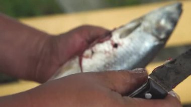 yakın yukarı el balıkçı gutting ve Bahçe pişirme ahşap tablo için doğa köy yaşam tarzı dışarıda Balık Temizleme