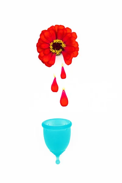 Röda zinnia blommor visar fint perioden av kvinnlig menstruation för kvinnans personliga hygienprodukter. röda kronblad falla som droppar blod i en blå menstruation Cup — Stockfoto