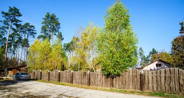 Wooden recreation facilities in the forest. Golden autumn. Trees in the territory of the recreation center. Houses under the shade of trees. Rest in wooden houses. Ukraine. Beaver. 10/20/2019