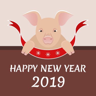 Kartpostal resmi olan bir domuz. Yıl 2019 sembolü.