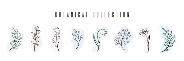 Un ensemble d'images d'éléments botaniques dessinés à la main. Branches, feuilles, fleurs sur fond blanc. — Image vectorielle