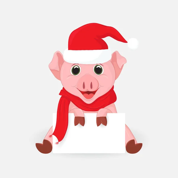 Schwein in Neujahrsmütze und Schal mit leerem Rohling. — Stockvektor