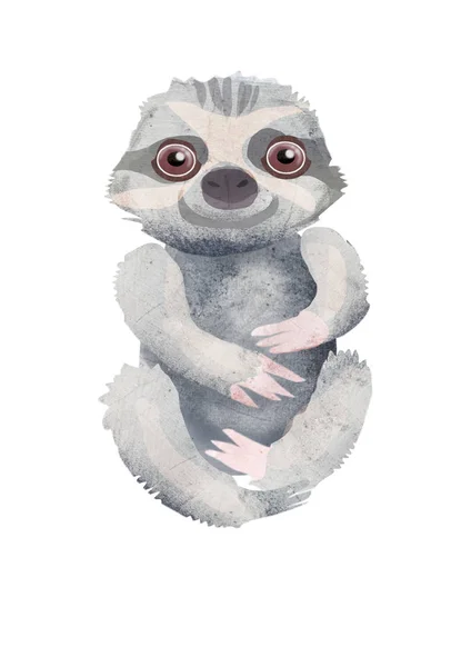 Folivora Three Toed Sitting Sloth Animal Hand Drawing Cartoon Illustration — Stock Photo, Image