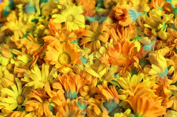 Arrière Plan Avec Calendula Frais Herbes Médicinales Fleurs Souci Pour — Photo