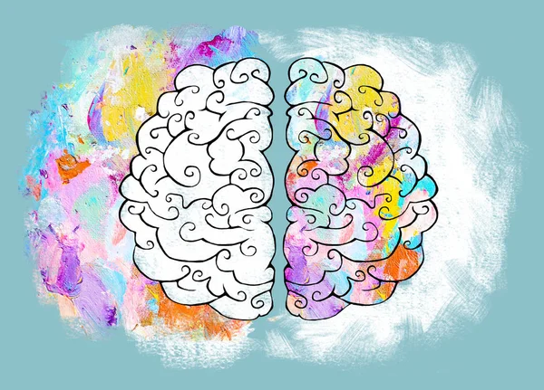 Right and left hemisphere of the human brain. Concept illustration. Distribution of analytical and creativity functions between hemispheres.